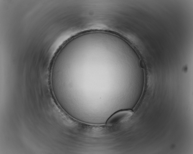 X0000116511326200912231225