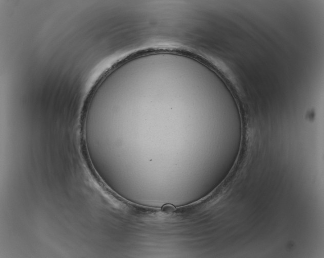 X0000116511327200912231225