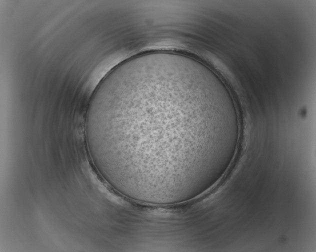 X0000116511329200912231225