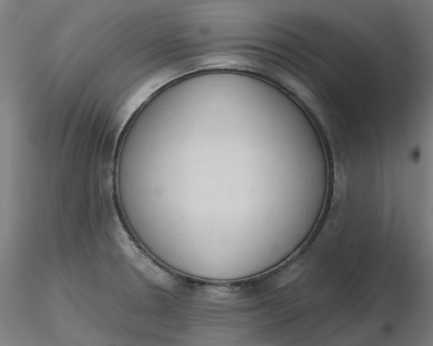 X0000116511330200912231225