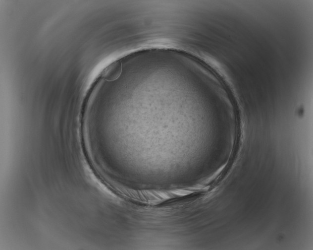 X0000116511334200912231225