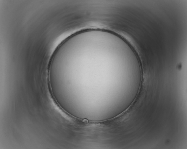 X0000116511335200912231225