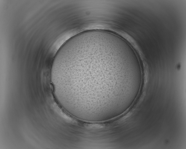 X0000116511337200912231225