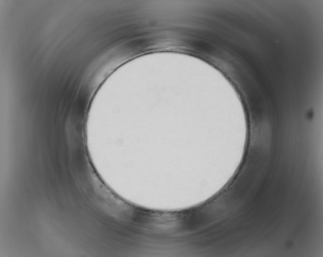 X0000116511338200912231225