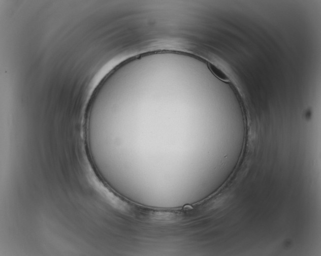 X0000116511339200912231225