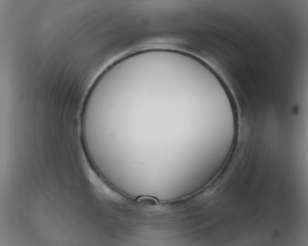 X0000116511341200912231225