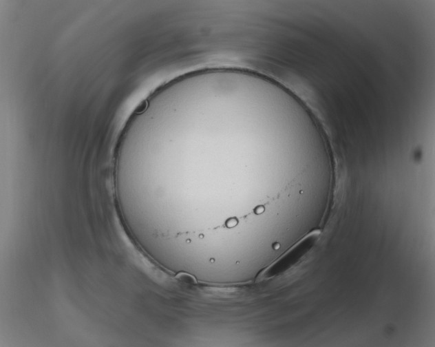 X0000116511342200912231225