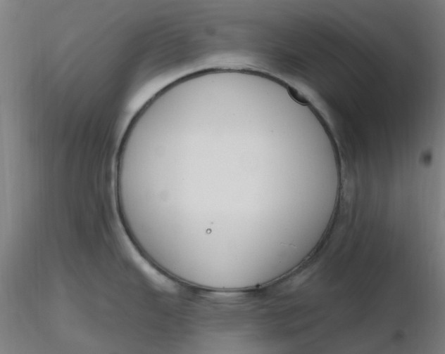 X0000116511343200912231225