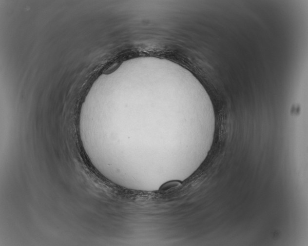 X0000116511345200912231225