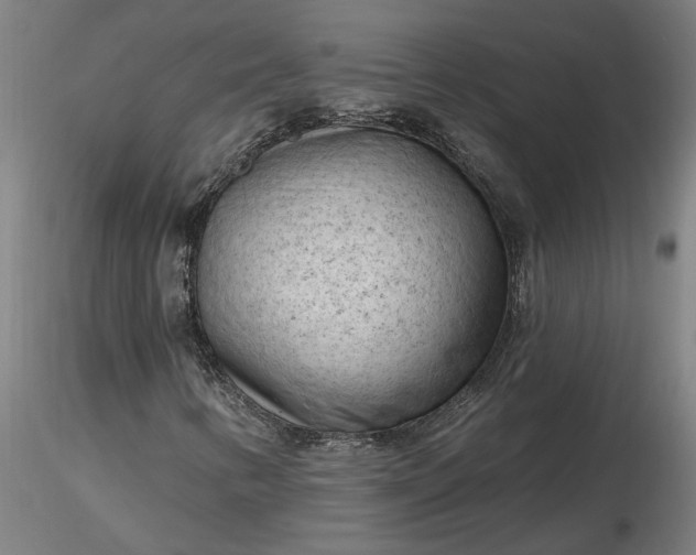 X0000116511346200912231225