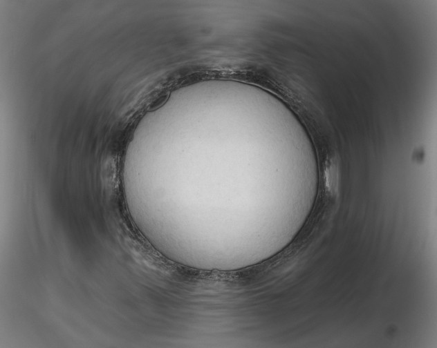 X0000116511347200912231225