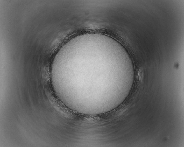 X0000116511348200912231225