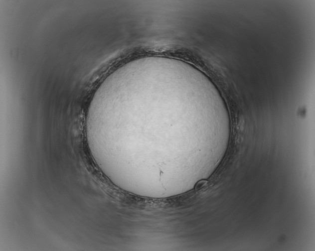 X0000116511349200912231225