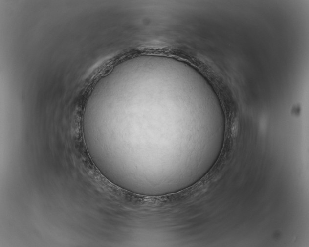 X0000116511350200912231225