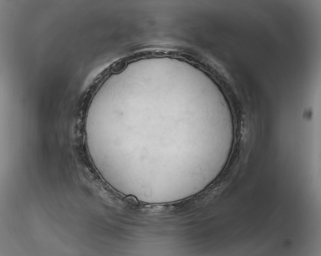 X0000116511352200912231225