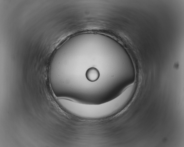 X0000116511353200912231225