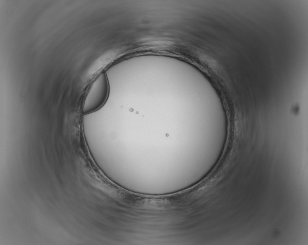 X0000116511354200912231225