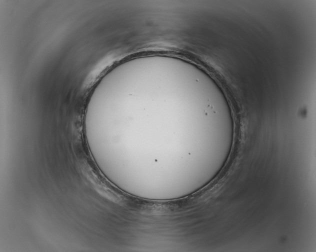 X0000116511355200912231225