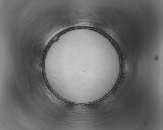 X0000116511356200912231225