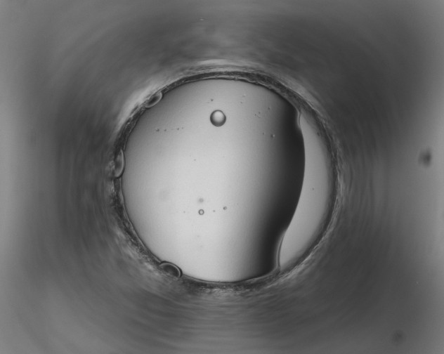 X0000116511357200912231225