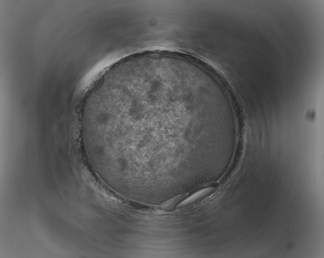 X0000116511359200912231224