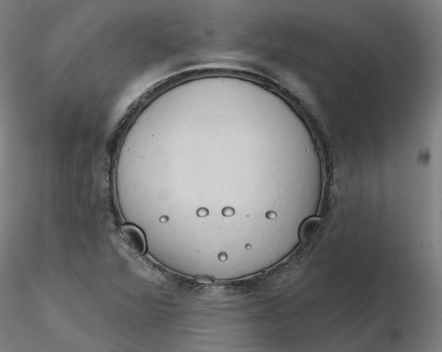 X0000116511360200912231224