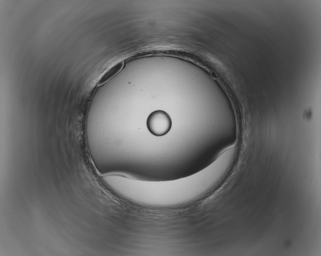 X0000116511361200912231224