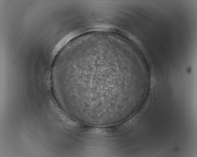 X0000116511362200912231224