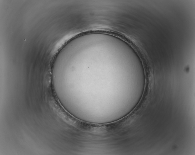 X0000116511363200912231224