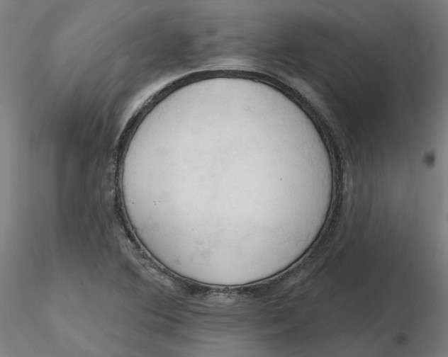 X0000116511364200912231224