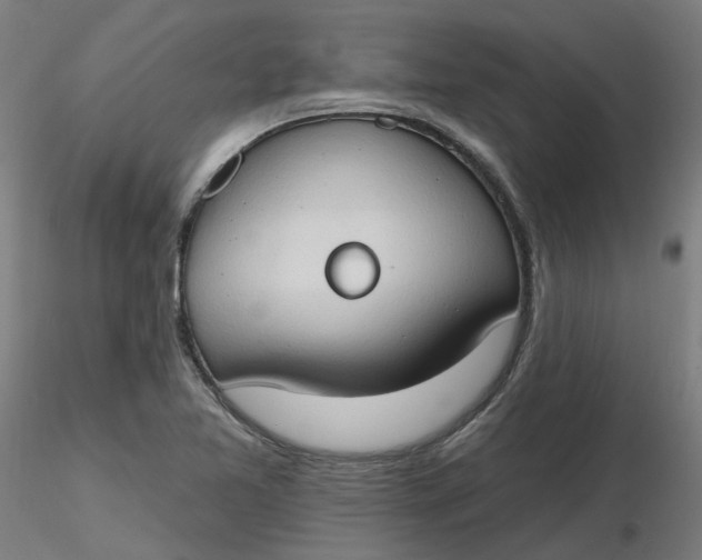 X0000116511365200912231224