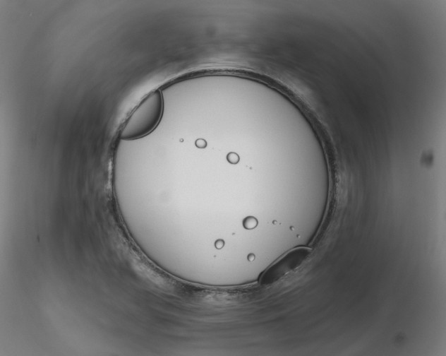 X0000116511366200912231224