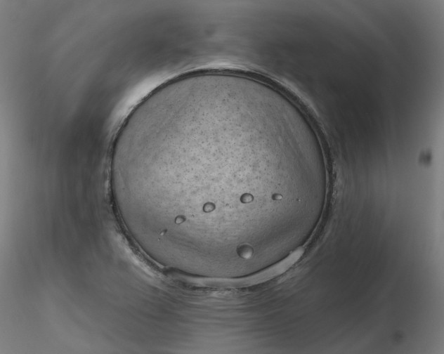 X0000116511367200912231224