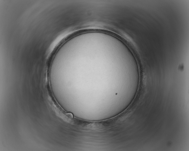 X0000116511368200912231224