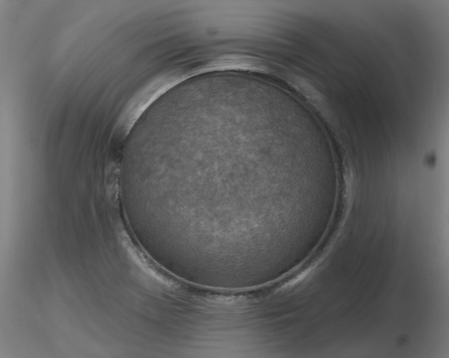 X0000116511369200912231224