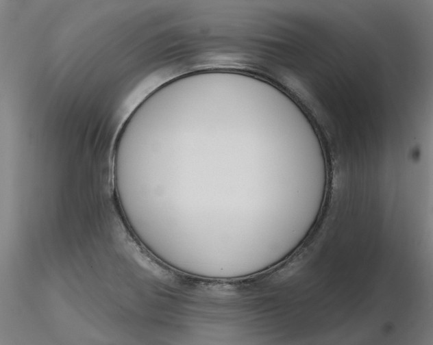 X0000116511370200912231224