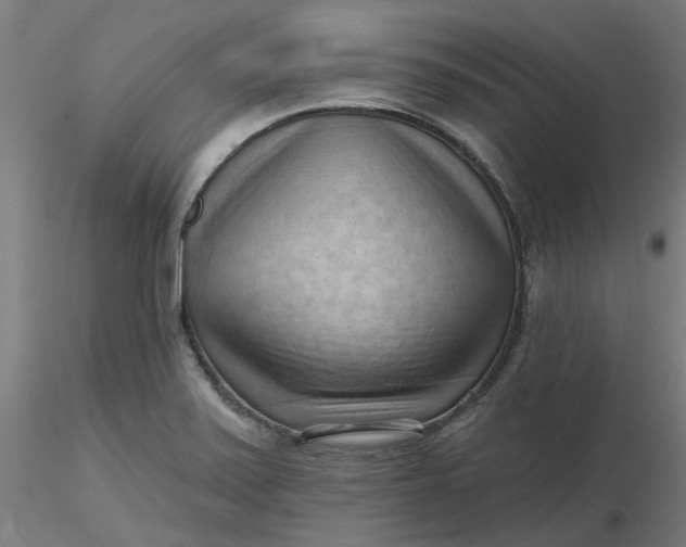 X0000116511371200912231224