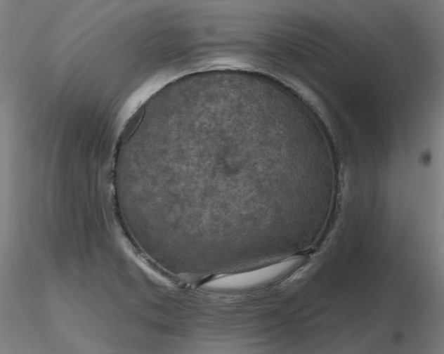 X0000116511373200912231224