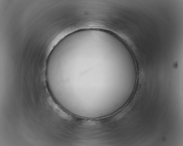 X0000116511374200912231224