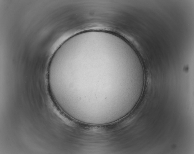 X0000116511375200912231224