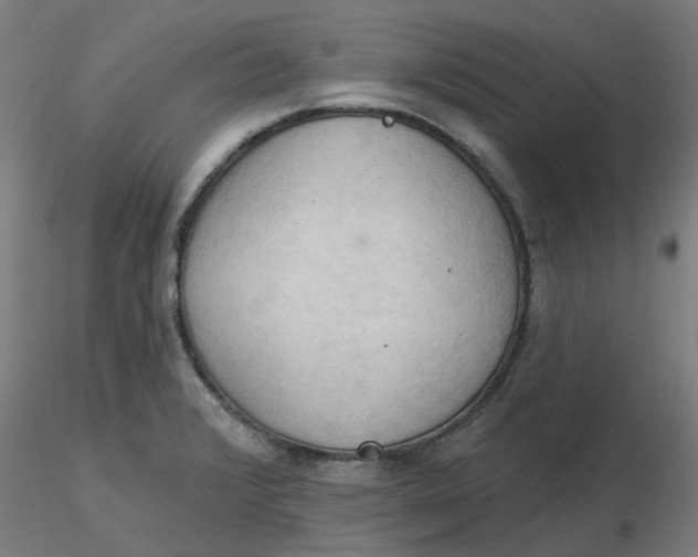 X0000116511376200912231224