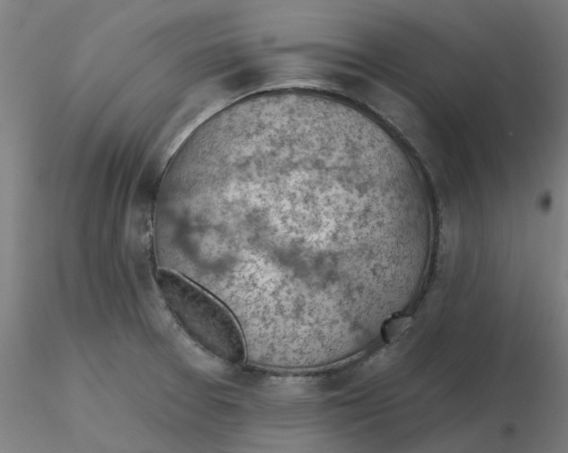 X0000116511377200912231224