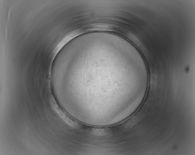 X0000116511378200912231224