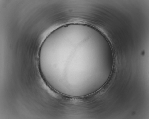 X0000116511379200912231224