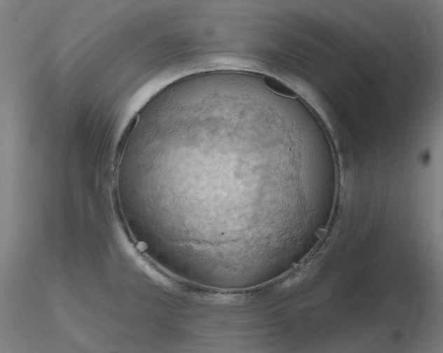 X0000116511381200912231224