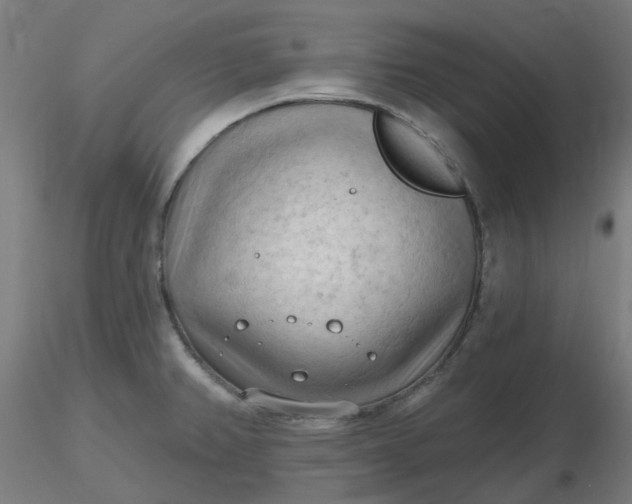 X0000116511382200912231224