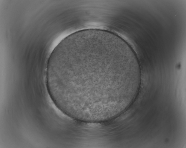 X0000116511383200912231224