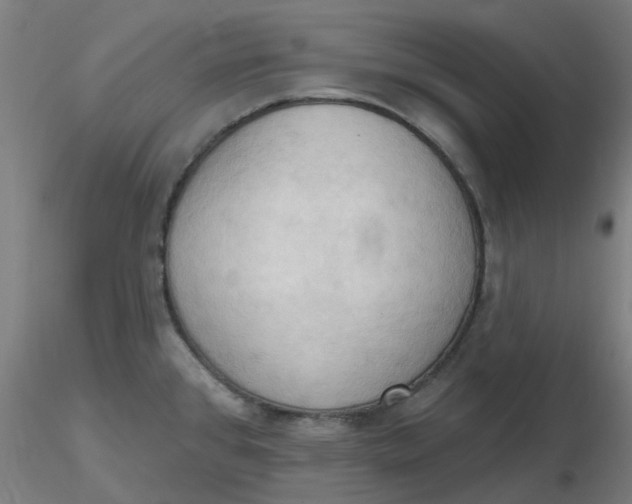 X0000116511384200912231224