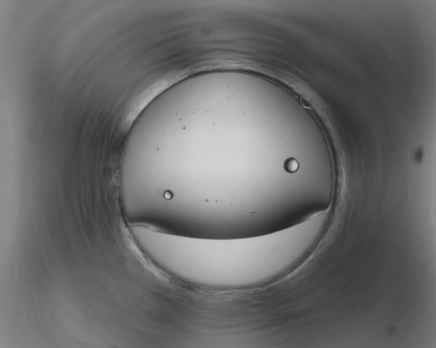 X0000116511385200912231224