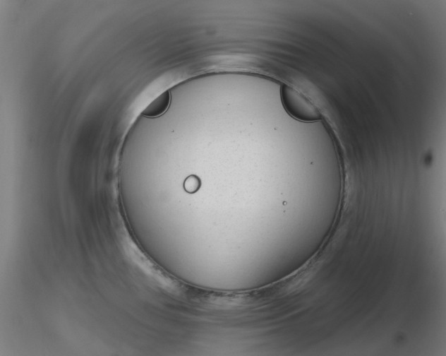 X0000116511386200912231224